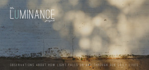 cropped-luminanceblogheader43