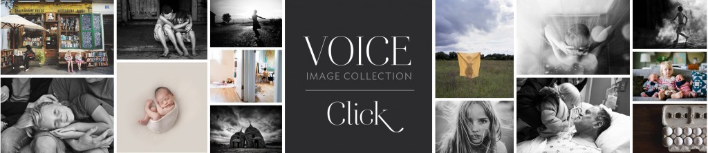 voice_2014winners_row_wLogo-1024x222 (1)